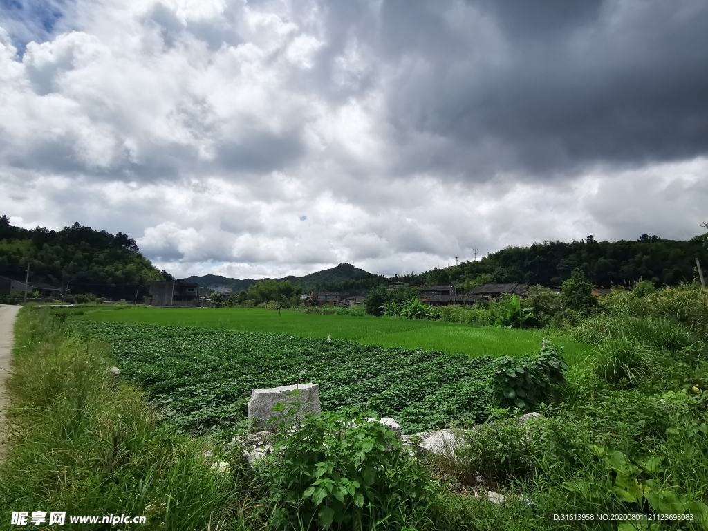 田园风光