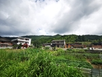 乡村