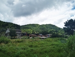 田园风光