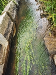 水渠