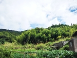 农村