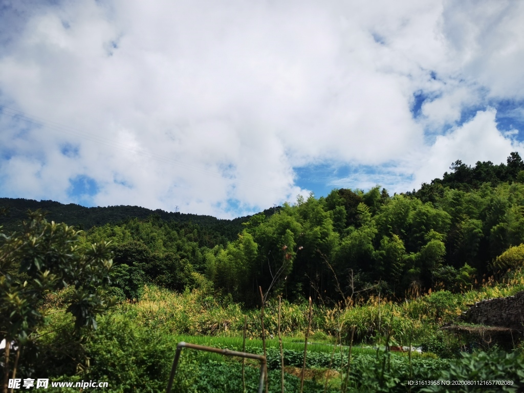 乡村风景