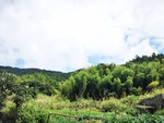 乡村风景