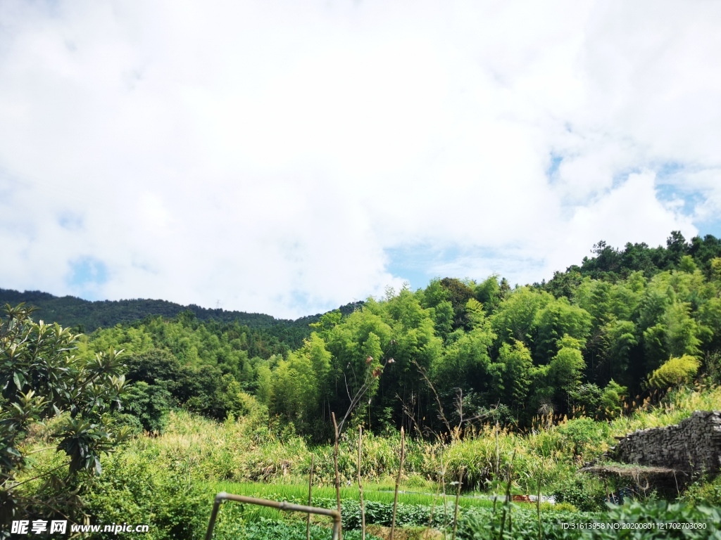 乡村风景