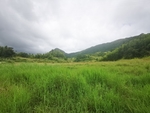 乡村风景