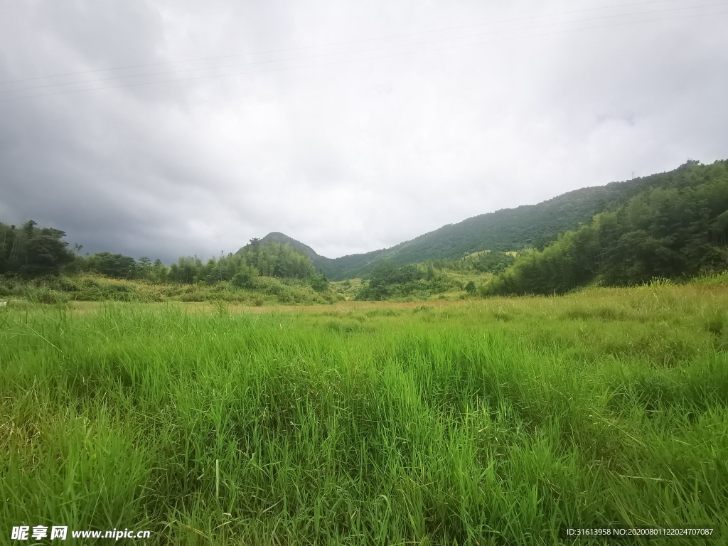 乡村风景