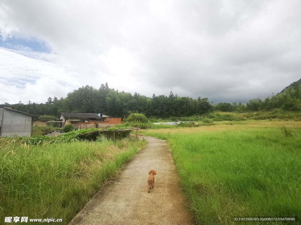 田园风光