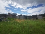 农村