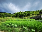 美丽乡村