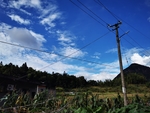 田园风光