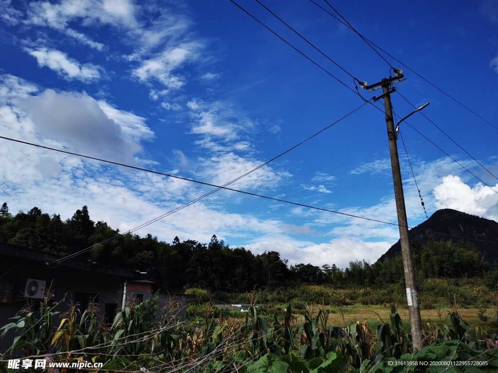 田园风光