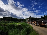 农村