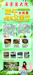 感恩父亲节民宿活动展架