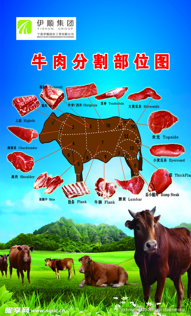 牛肉分割部位图