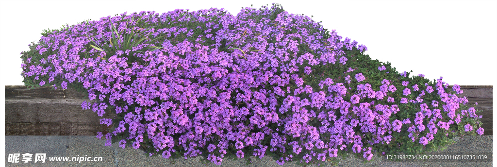 免扣素材