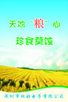 珍食莫蚀