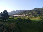 田园风光