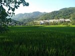 田园风光