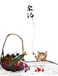 猫插画