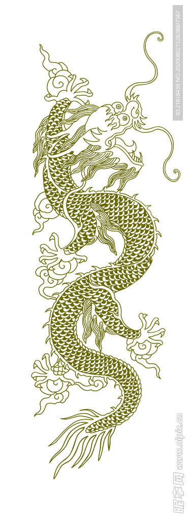 龙