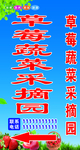 采摘园海报
