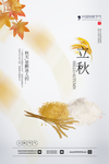 立秋