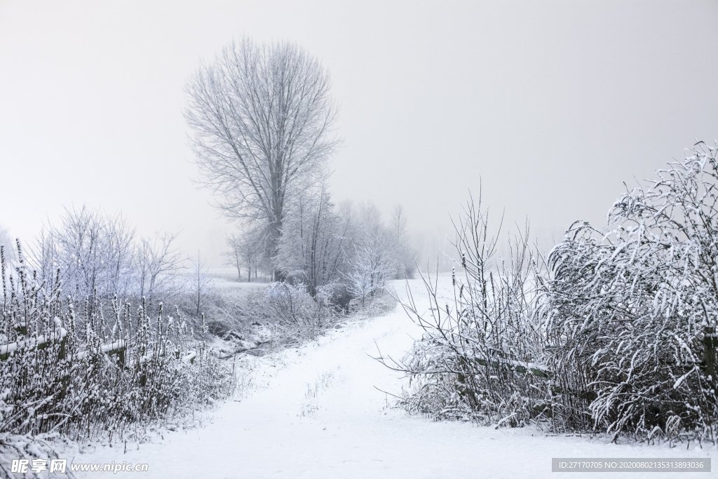 唯美雪地靴壁纸