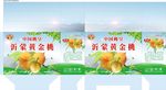黄桃箱子