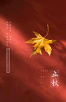 立秋