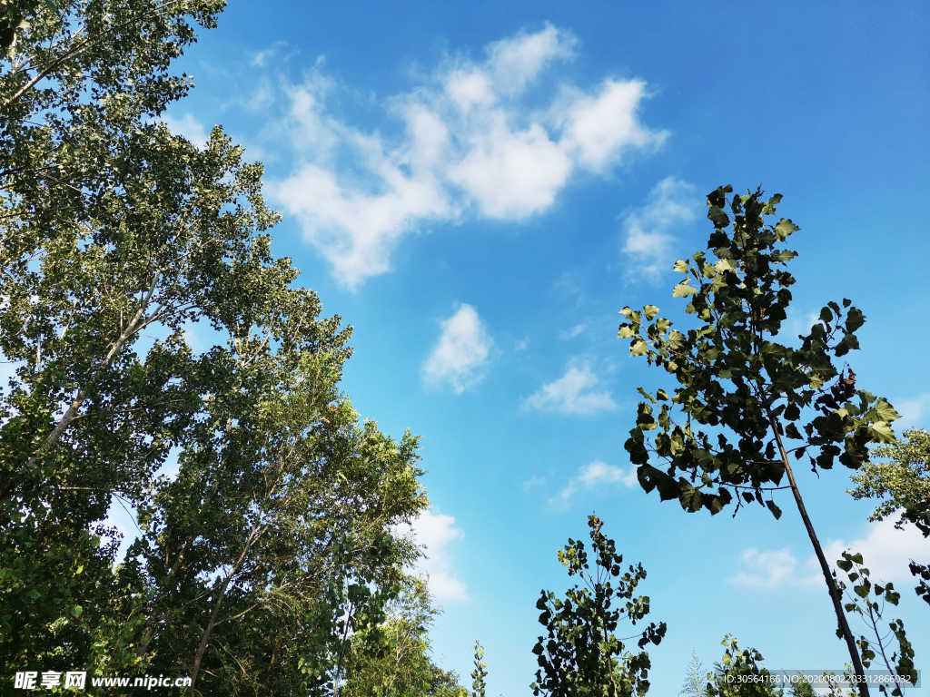 天空乡下农村风光背景素材