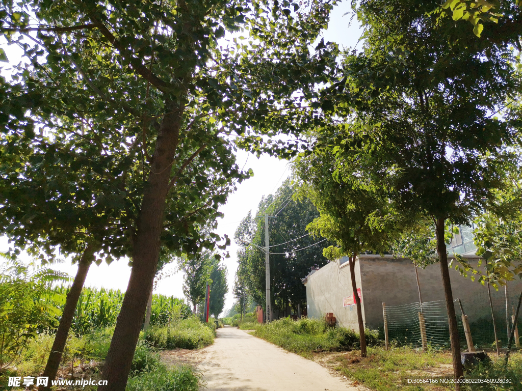 道路乡下农村风光背景素材