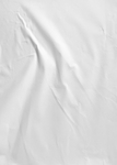 纸纹