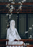 古装美女插画图片