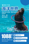 海洋世界