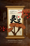 中药养生