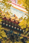 秋天