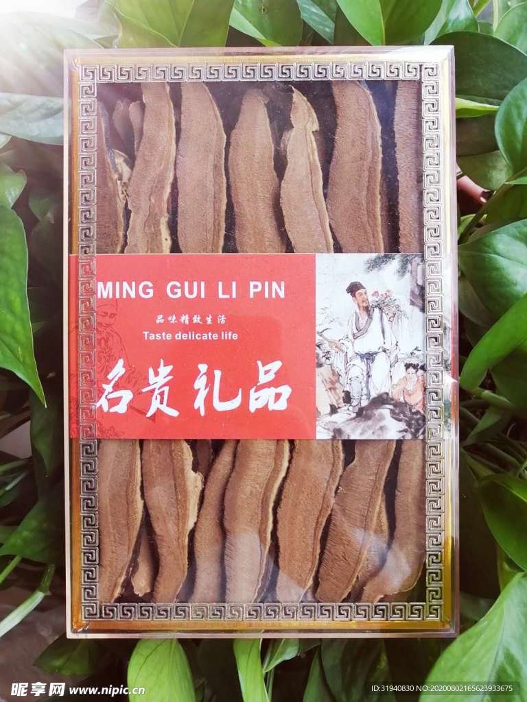 灵芝