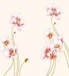 淡黄粉花