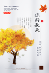 立秋