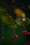立秋
