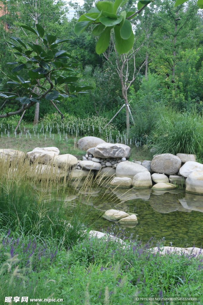 园林风景