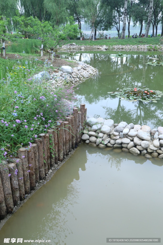 园林风景