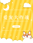宠物