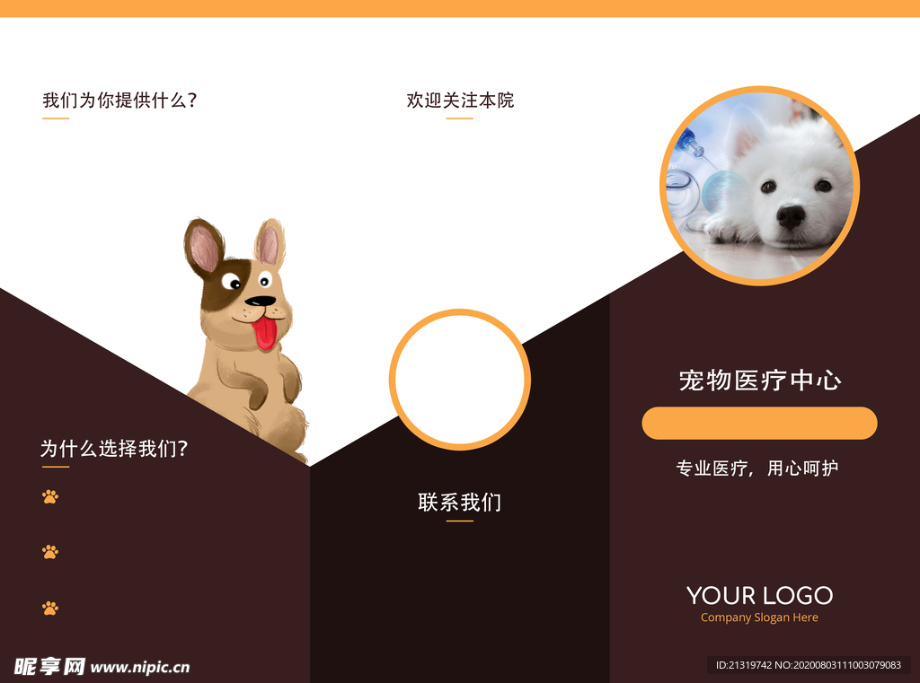宠物医院折页