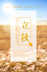 立秋简约海报