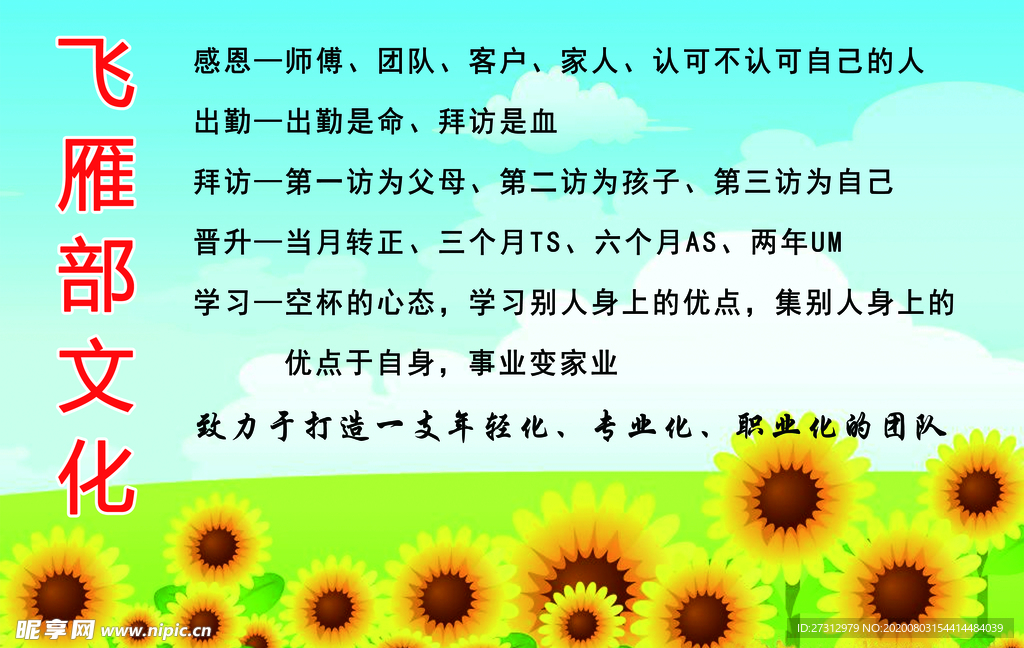 向日葵 蓝天 绿地 文化