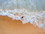 海水