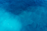 海水