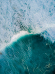 海水