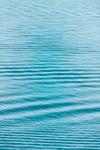海水